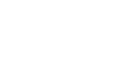 IMF Stefan Ruhnau Logo